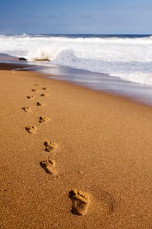 Fees. Library Image: Footsteps in Sand